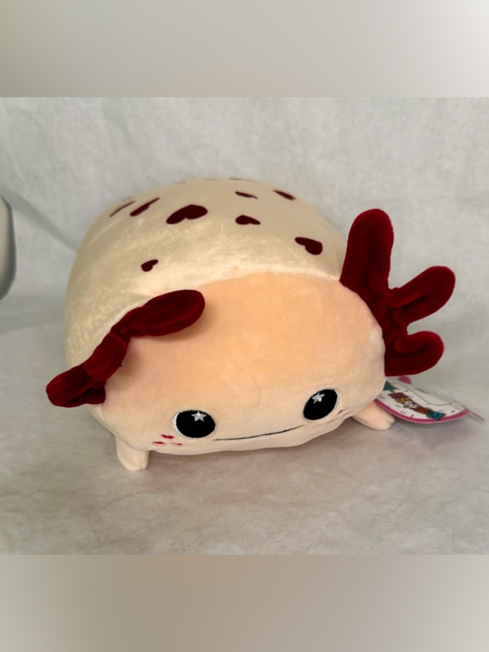 Soft Plush Buddy (Cael 2) From Moosh Moosh